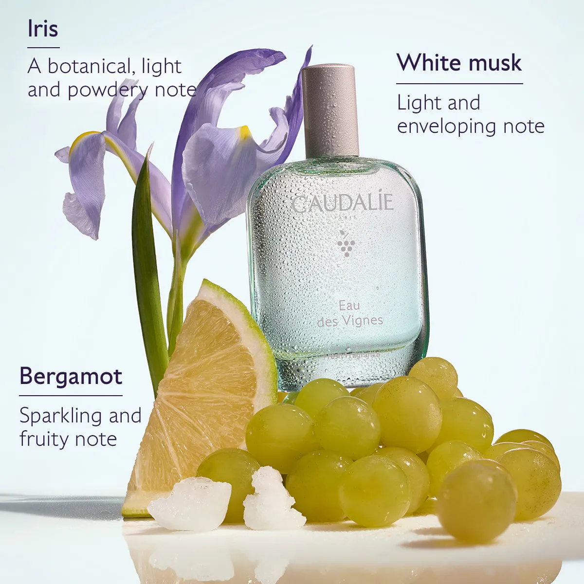 Fresh Fragrance Eau des Vignes 50ML
