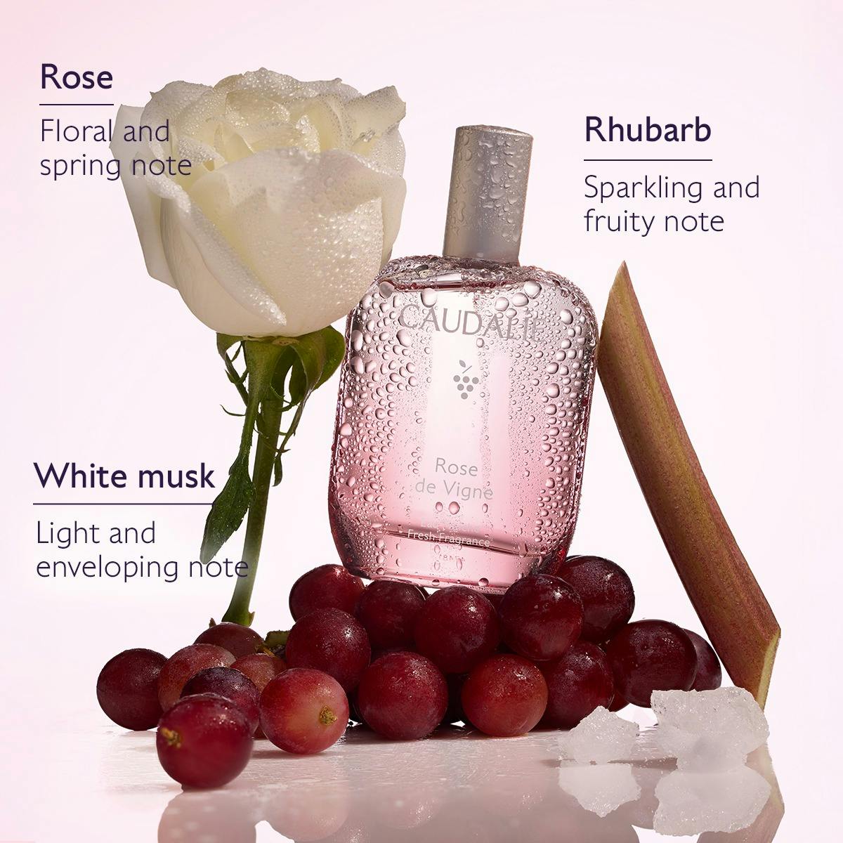 Fresh Fragrance Rose de Vigne 50ML