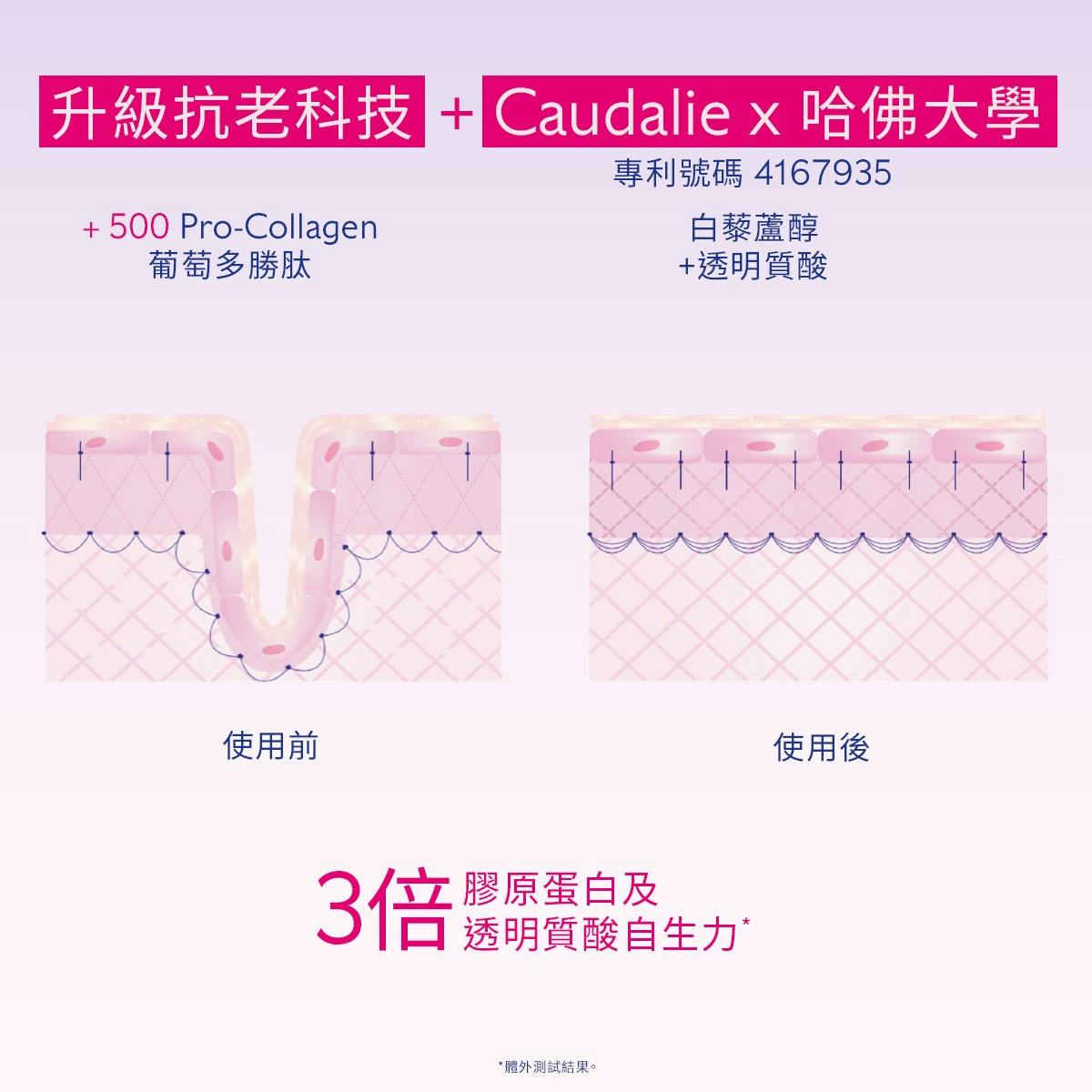 白藜蘆醇提昇緊緻絲漾面霜補充裝