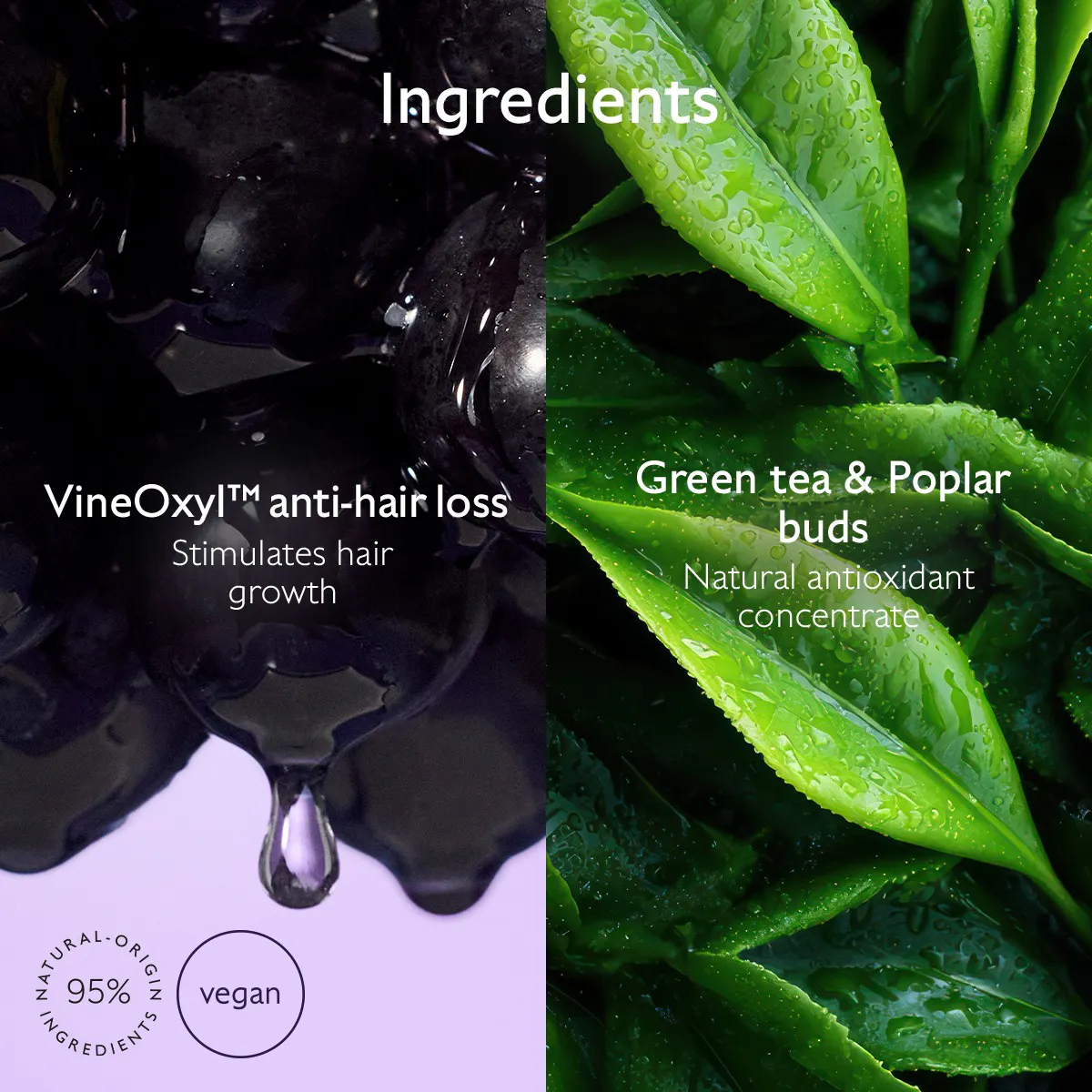 Density & Volume Shampoo