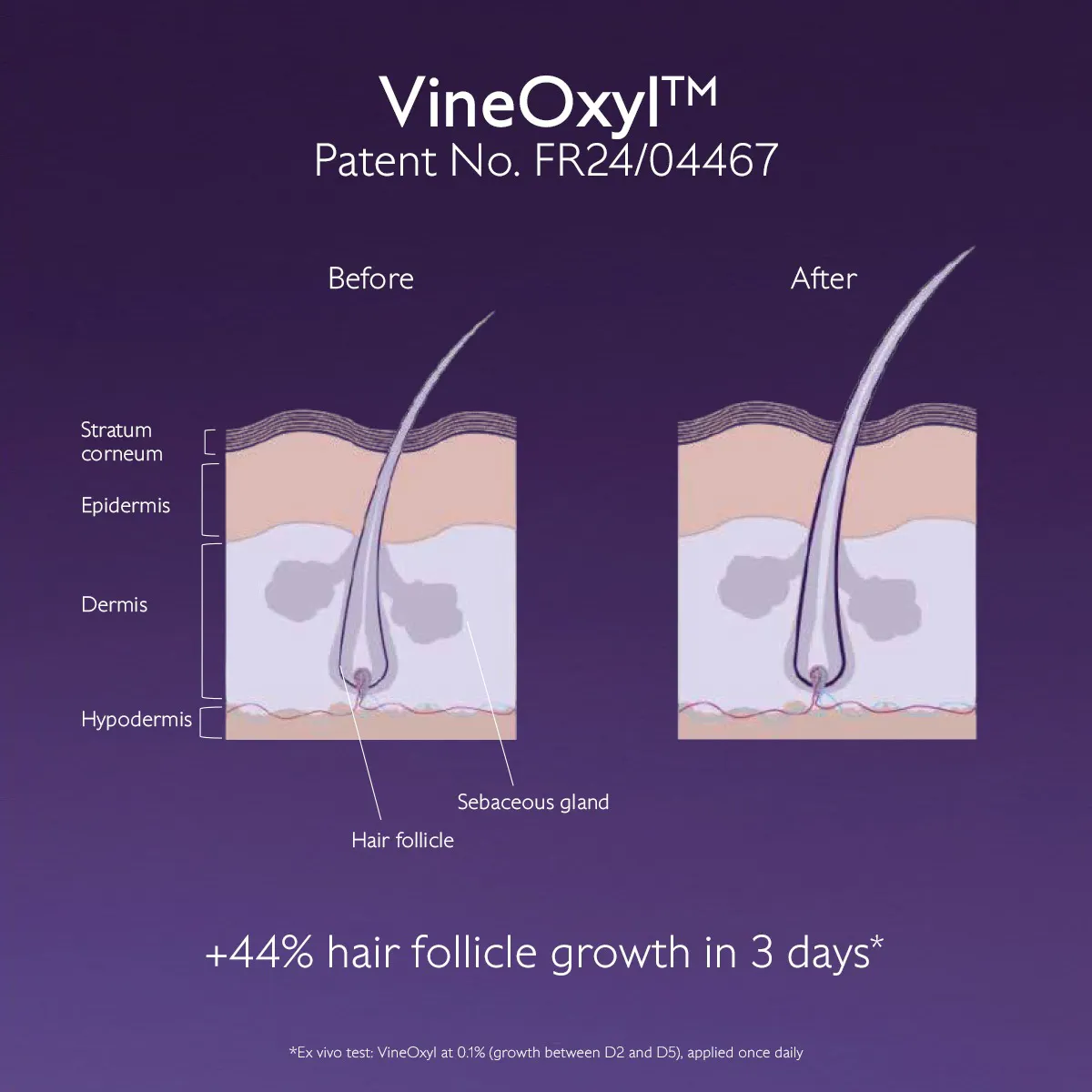 Density & Volume Shampoo