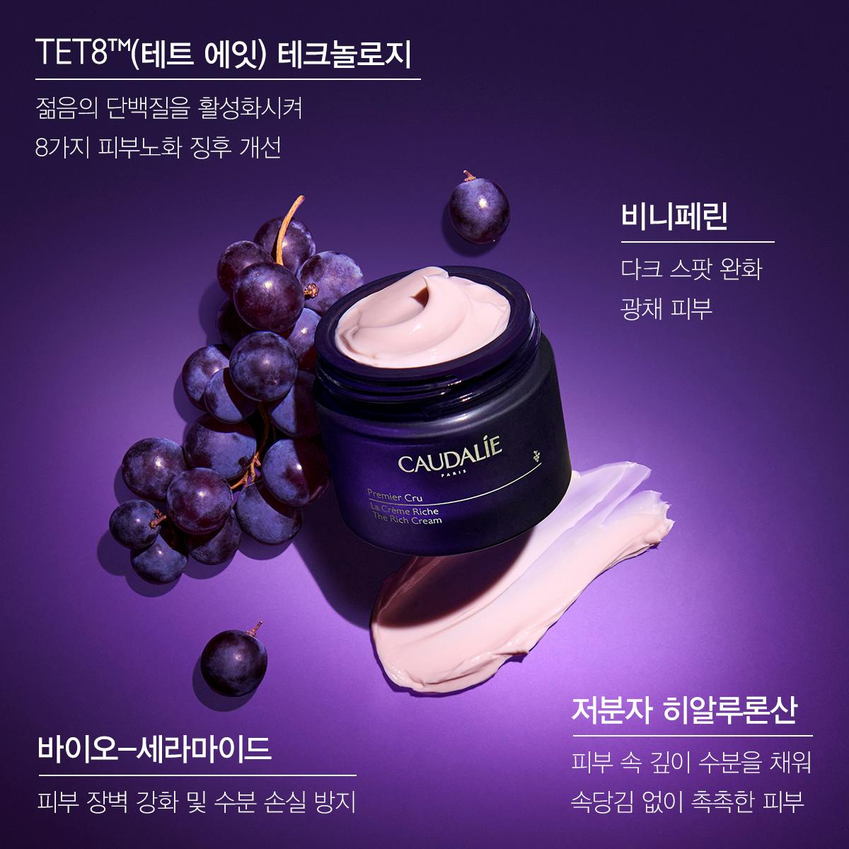 더 리치 크림 세트