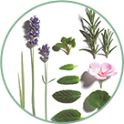 Organic essential oils