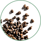 Grapeseed polyphenols