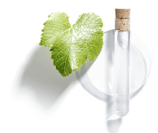 Viniferine